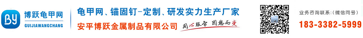 龜甲網(wǎng)廠(chǎng)家